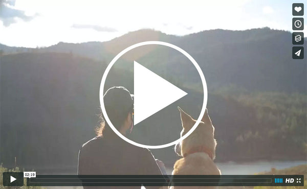 Thumbnail of a video showcasing Skookum Dog products.